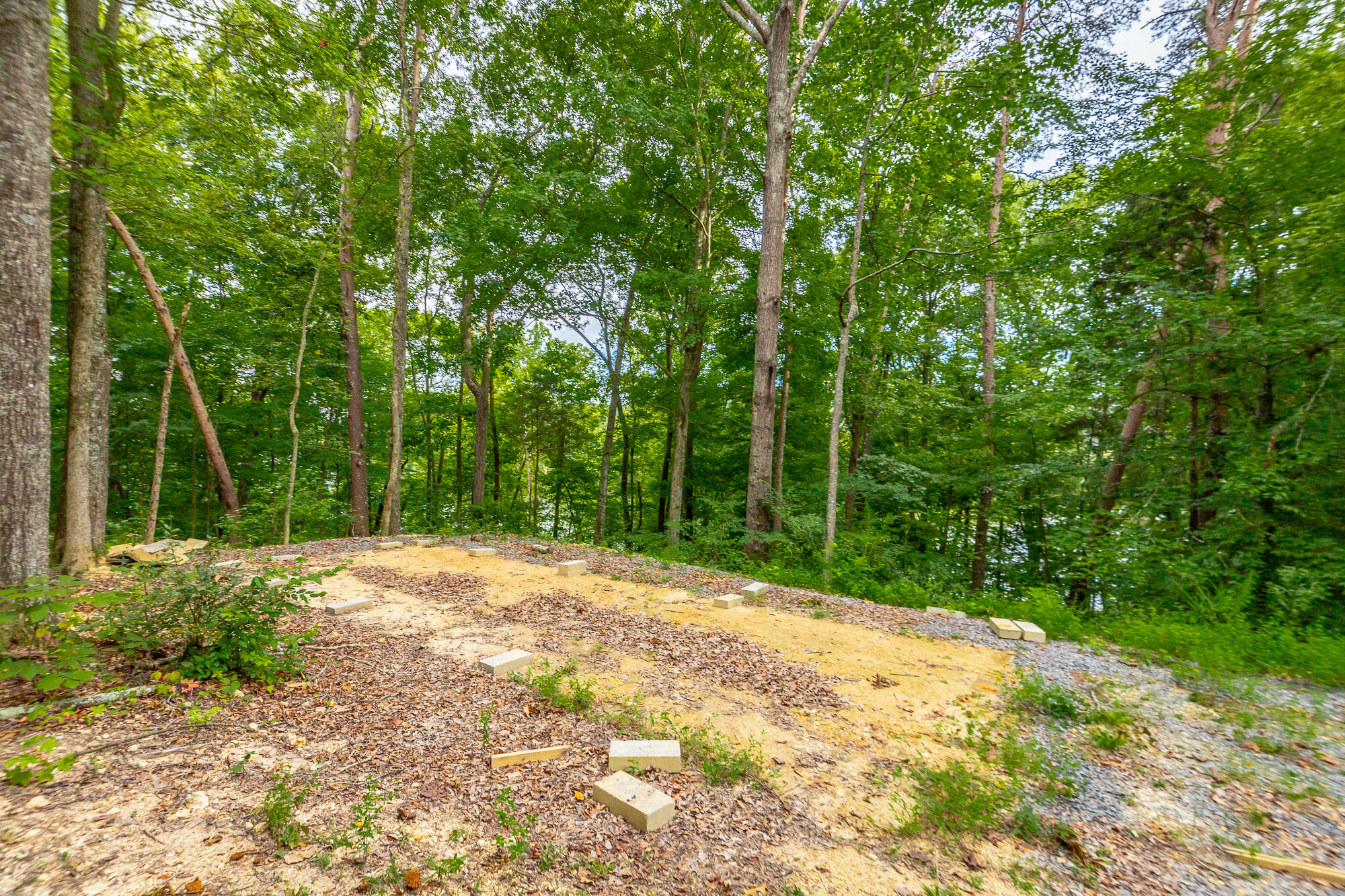 0 County Road 5 Calhoun, TN 37309 - Photo 23 of 32 425 County Road 5 Lot HD-23