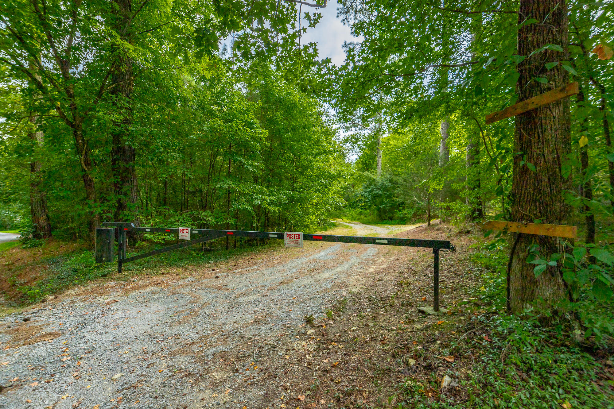 0 County Road 5 Calhoun, TN 37309 - Photo 3 of 32 425 County Road 5 Lot HD-8