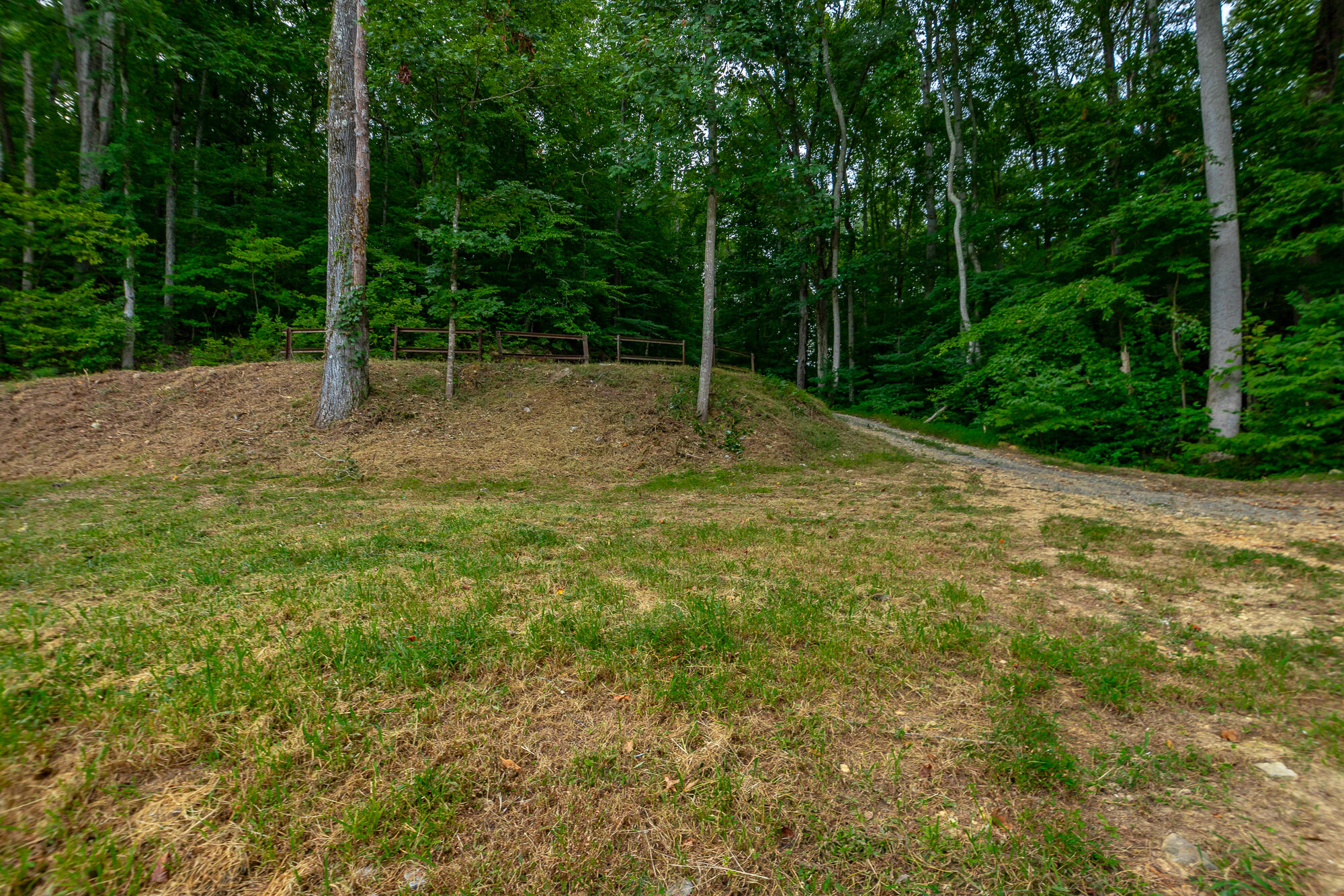 0 County Road 5 Calhoun, TN 37309 - Photo 8 of 32 425 County Road 5 Lot HD-55