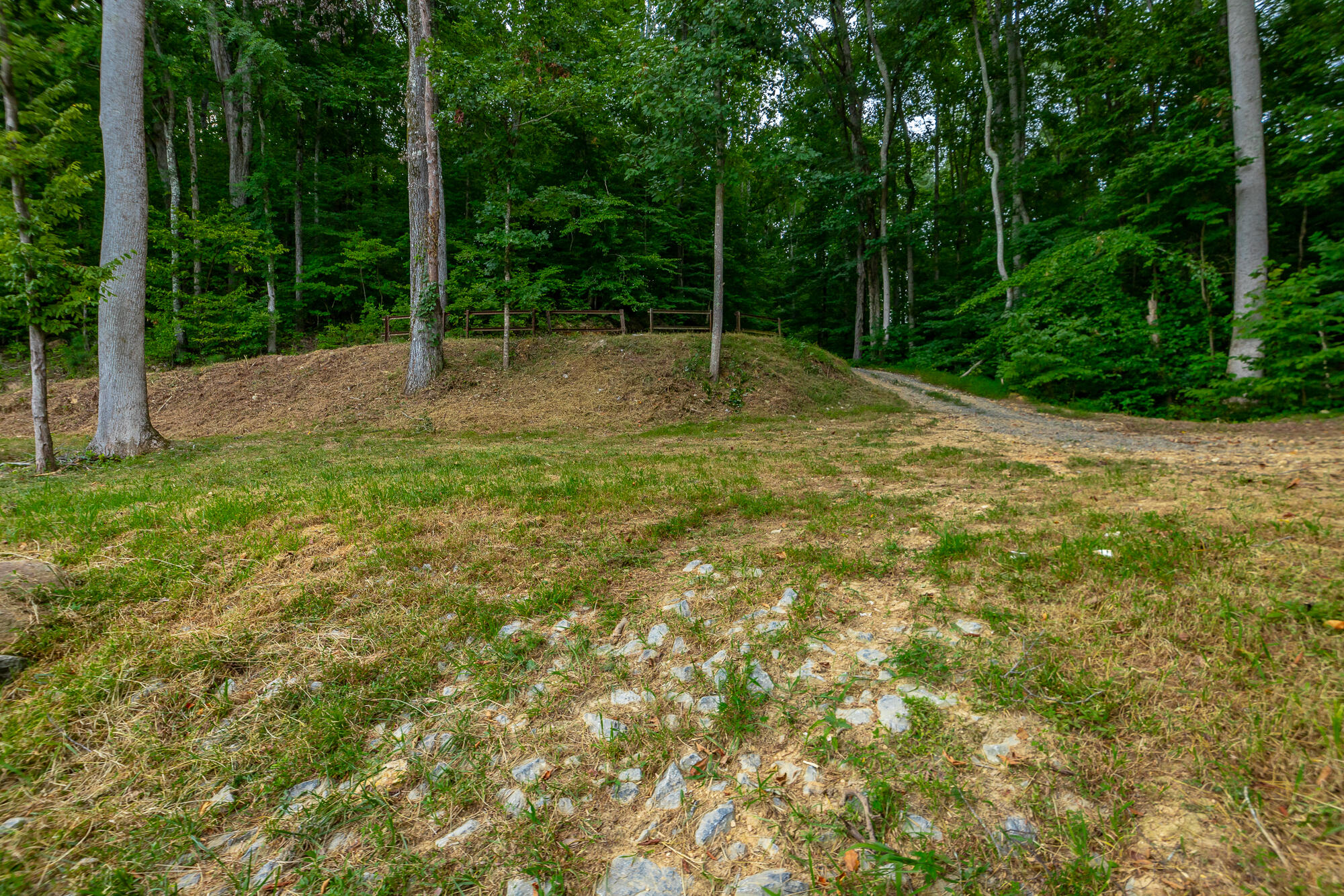 0 County Road 5 Calhoun, TN 37309 - Photo 9 of 32 425 County Road 5 Lot HD-56