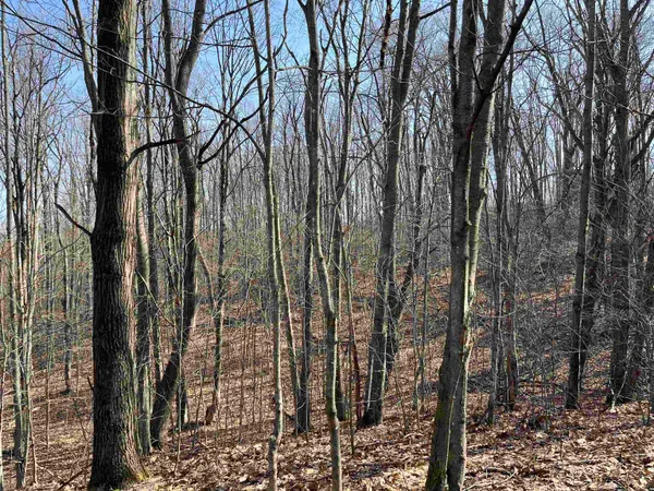 $110,000 | Deerfield Trail, Boyne Falls, MI 49713