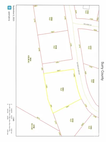 a view of a lush green forest with lots of trees