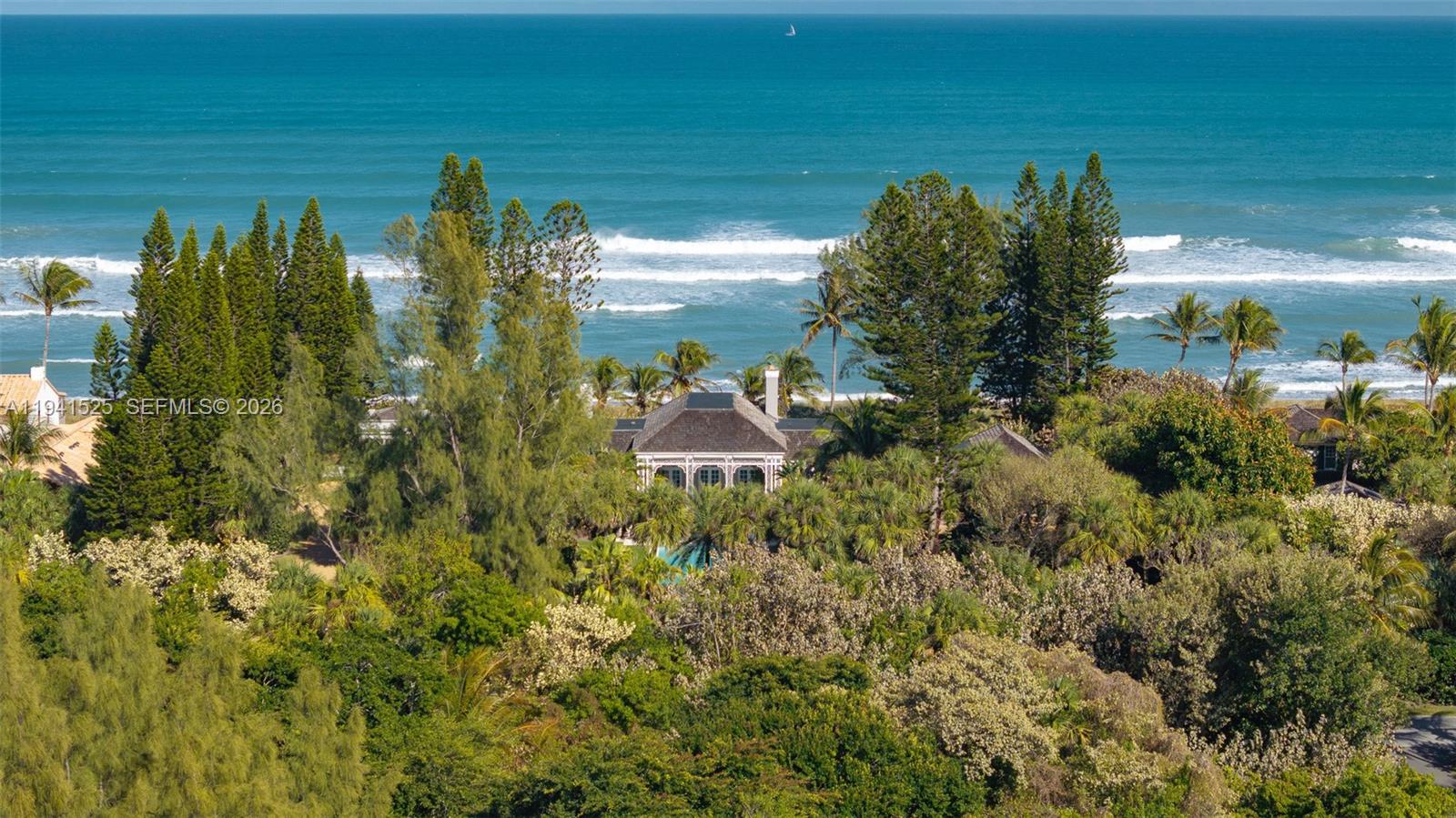 21 South Beach Road Jupiter Island, FL 33455 - Photo 11 of 45 a view of a garden
