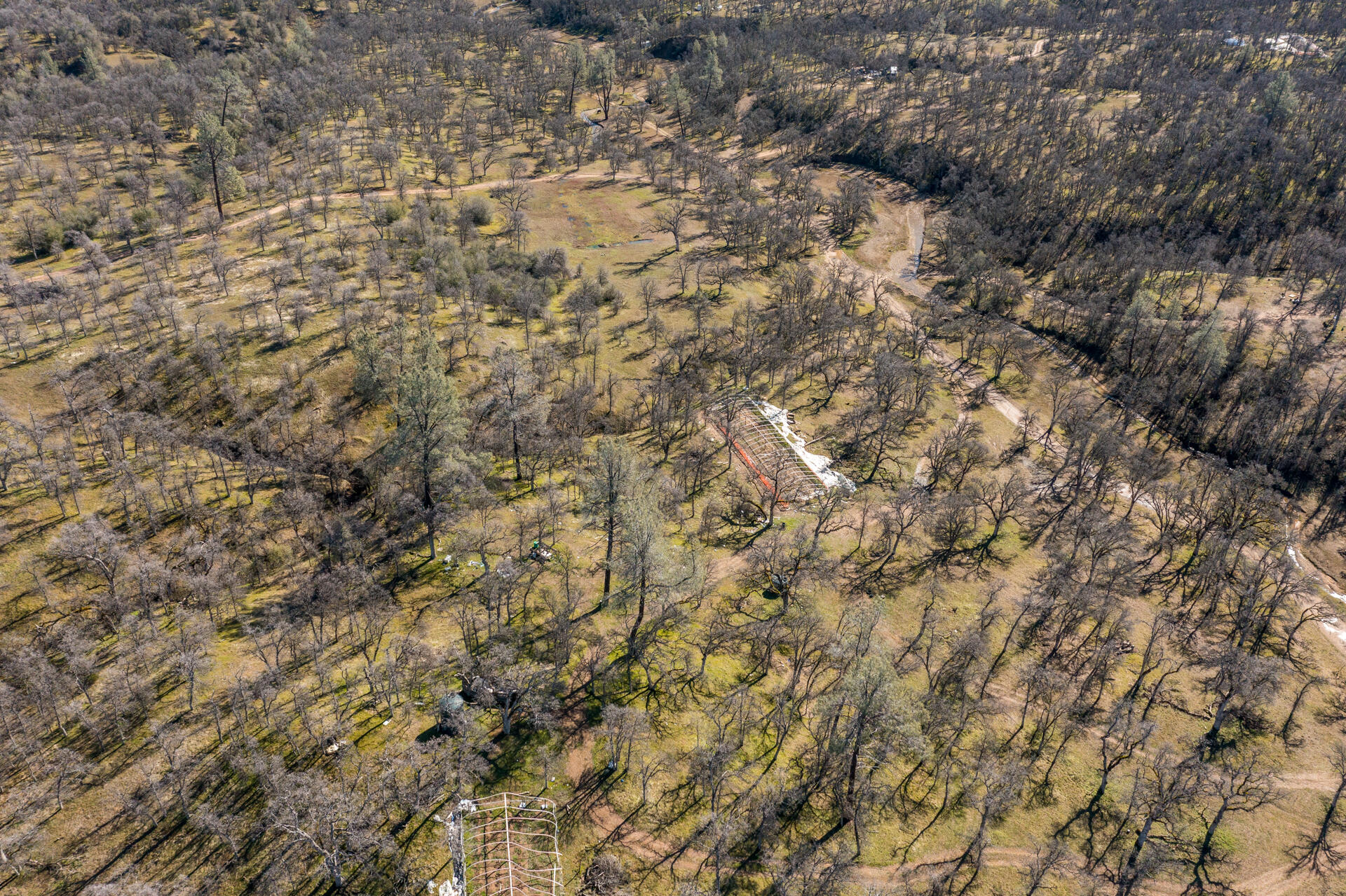 Black Pine Road Cottonwood, CA 96022 - Photo 8 of 10 a view of a yard
