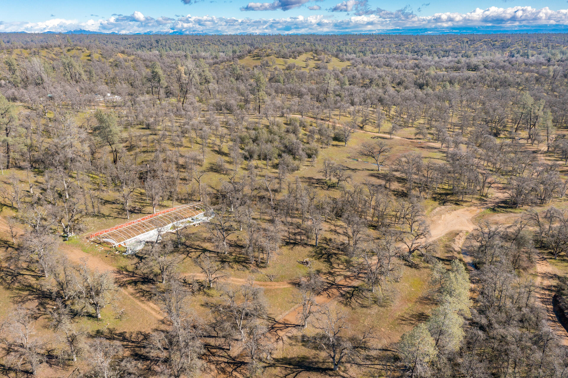 Black Pine Road Cottonwood, CA 96022 - Photo 9 of 10 a view of a yard