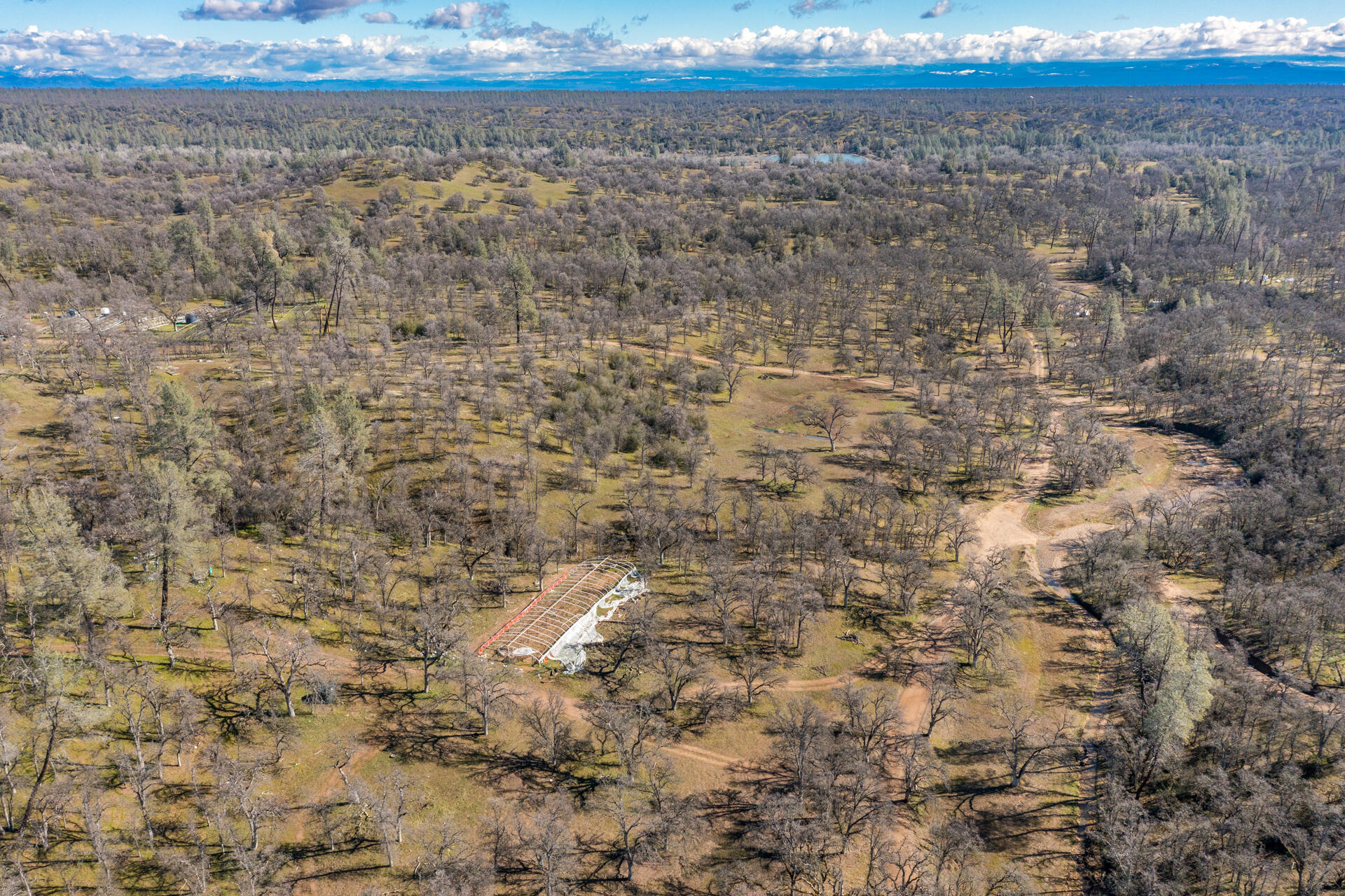 Black Pine Road Cottonwood, CA 96022 - Photo 10 of 10 a view of a dry yard with trees