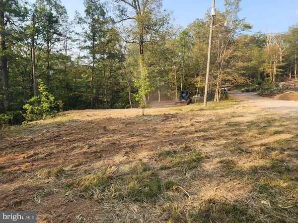 a view of a yard with trees