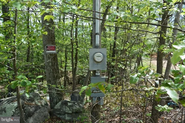 a backyard of a house with lots of green space and a fountain