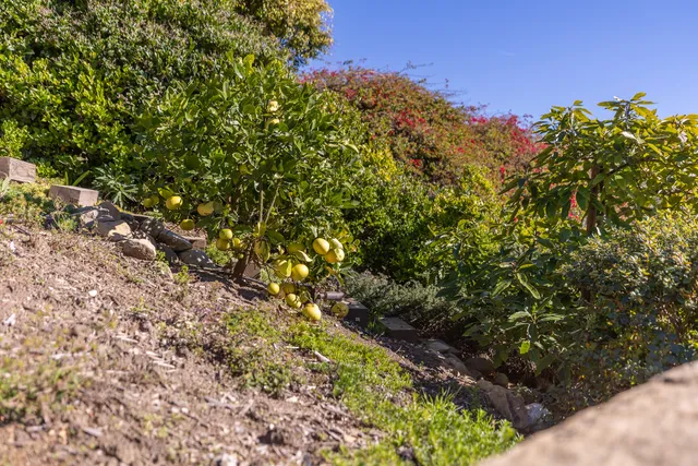 $5,000,000 | 1568 La Vista Del Oceano, Santa Barbara, CA 93109