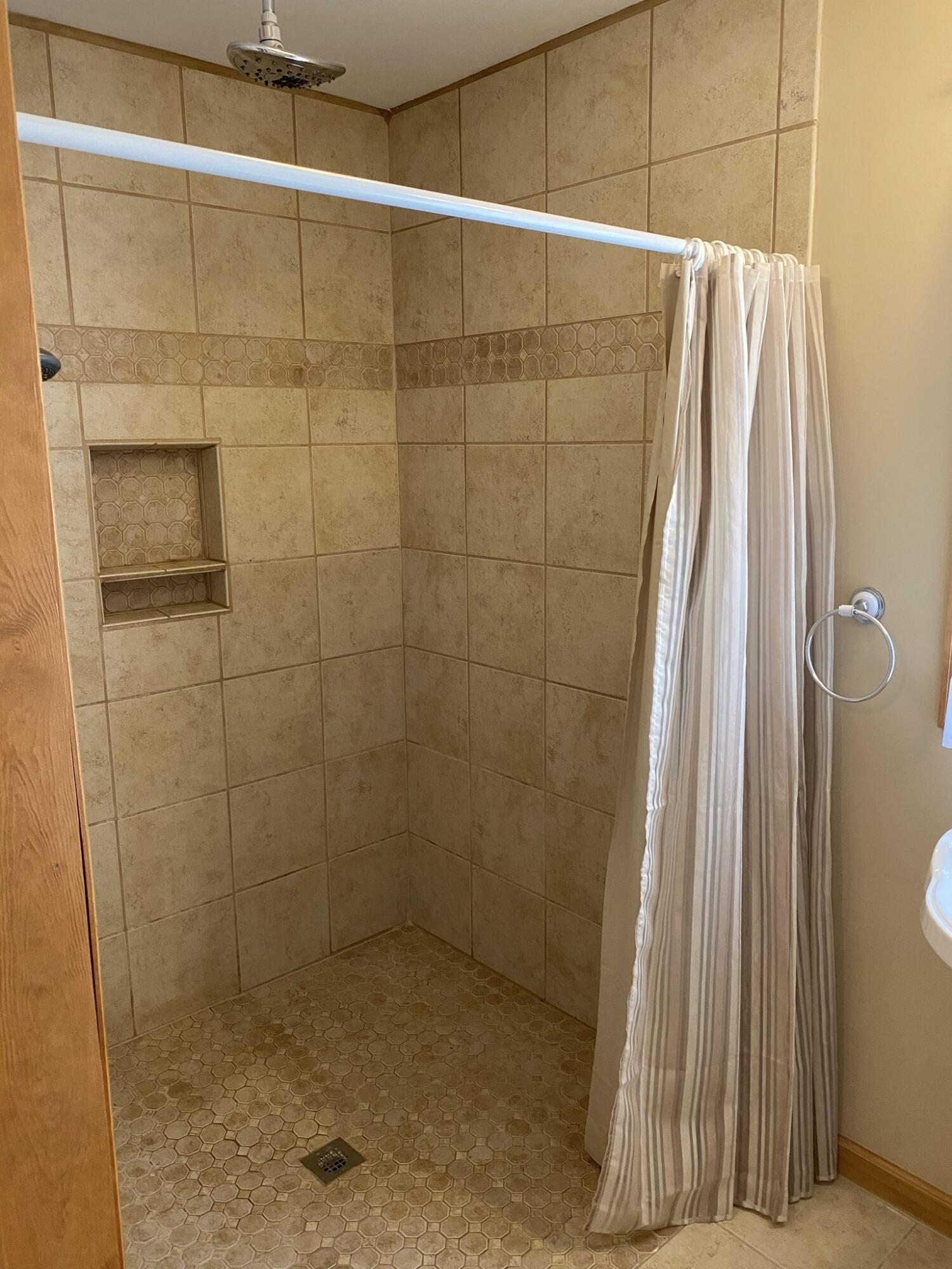 9003 Edgewater Road Chattanooga, TN 37416 - Photo 12 of 13 Roll In Shower