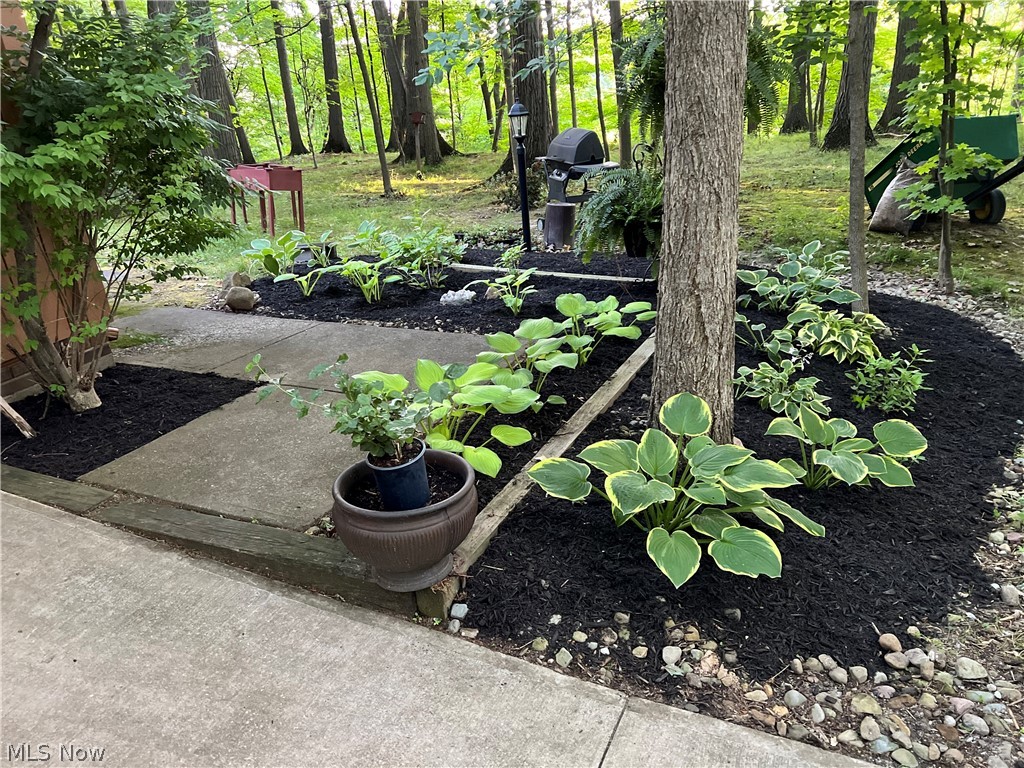 8495 Painesville Warren Road Painesville, OH 44077 - Photo 32 of 34 Manicured garden beds with dark mulch and varied hosta plants