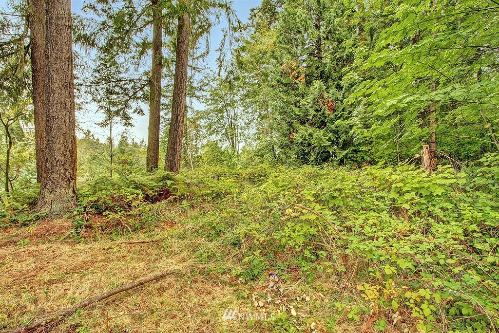 13408 Southeast 168th Street Renton, WA 98058 - Photo 23 of 23 Gallery Image 23