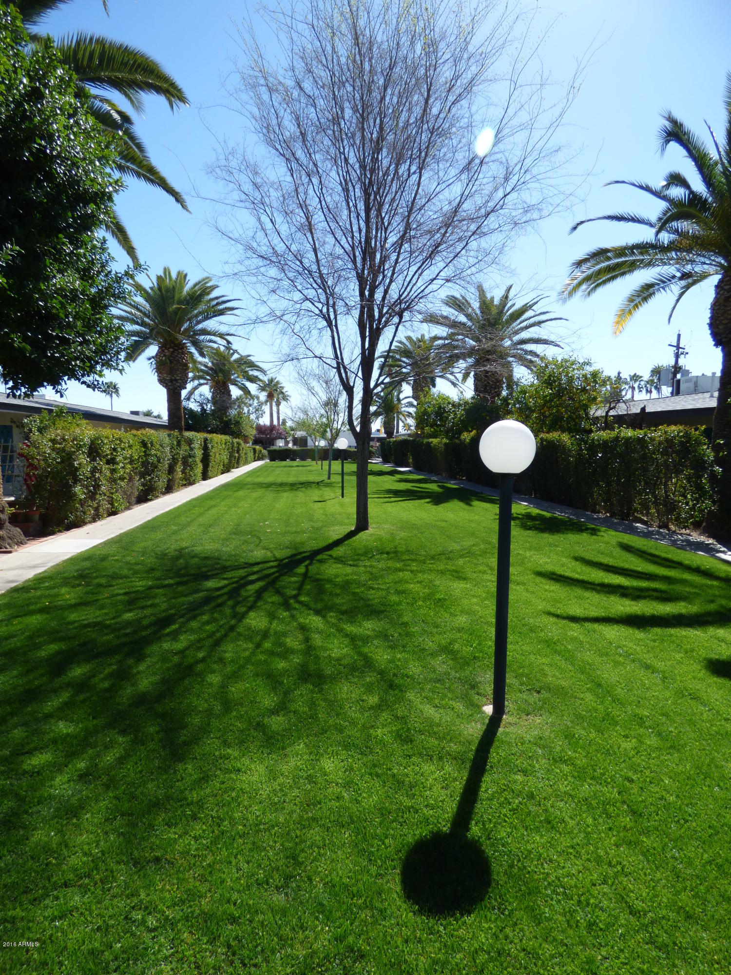 1250 East Bethany Home Road, Unit 21 Phoenix, AZ 85014 - Photo 2 of 13 Courtyard