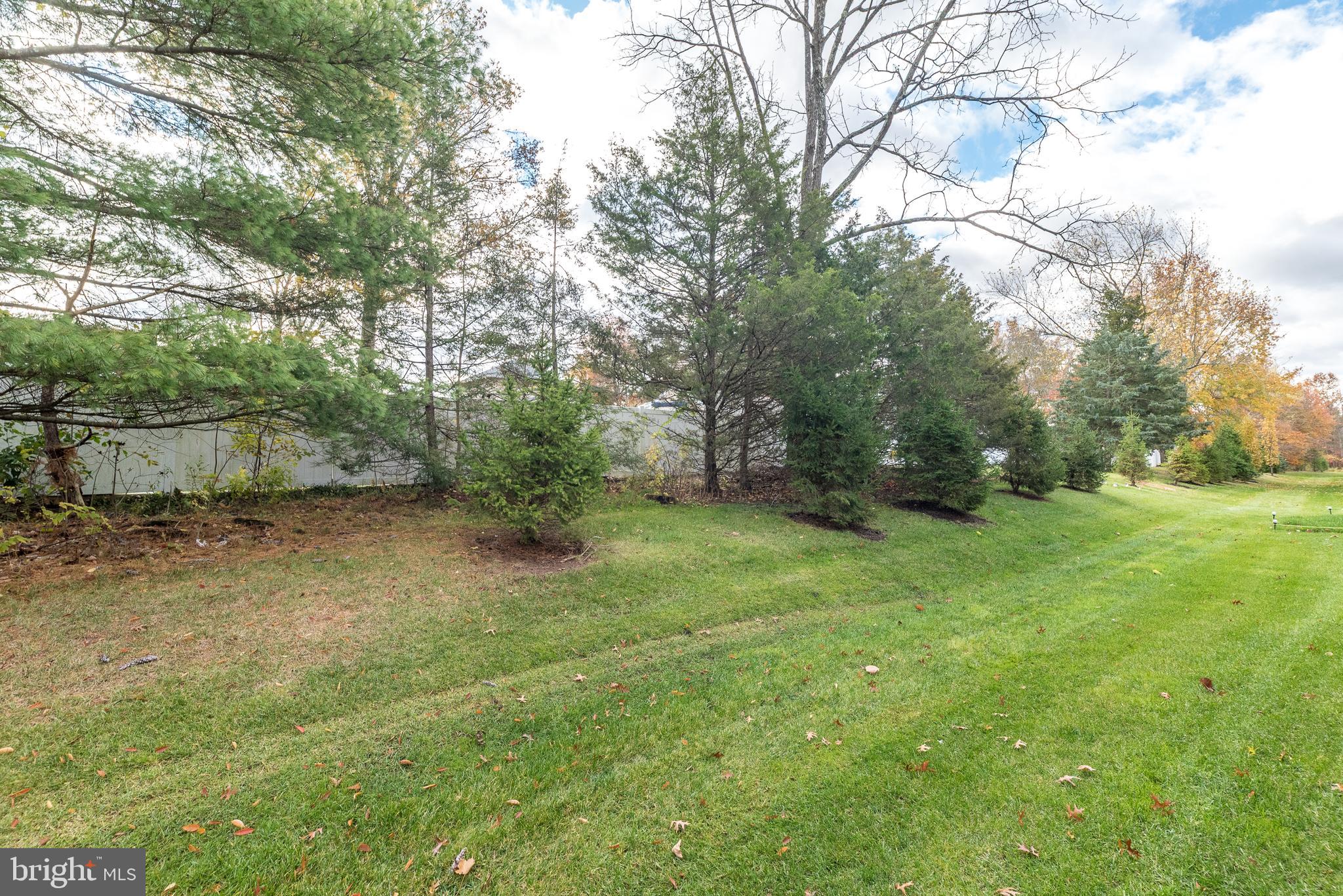 121 Arbor Boulevard Perkasie, PA 18944 - Photo 38 of 39 a view of a yard with a tree