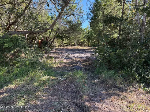 a view of outdoor space and trees