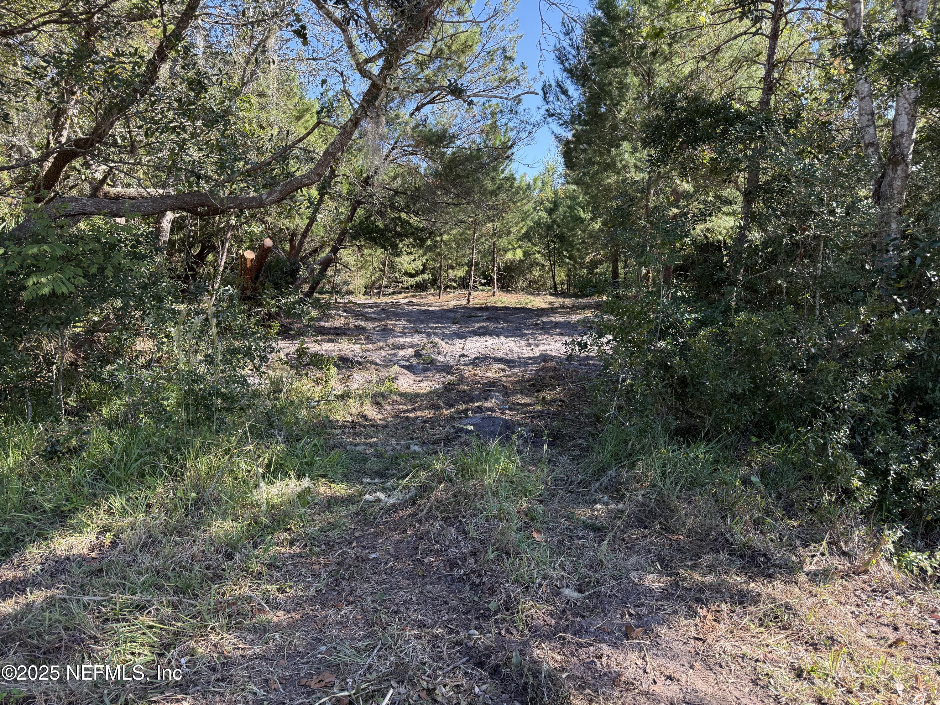 349 Dusty Road St. Augustine, FL 32095 - Photo 2 of 3 a view of outdoor space and trees