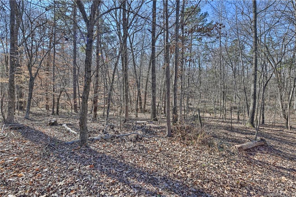 327 Lorraine Road Fort Mill, SC 29708 - Photo 24 of 24