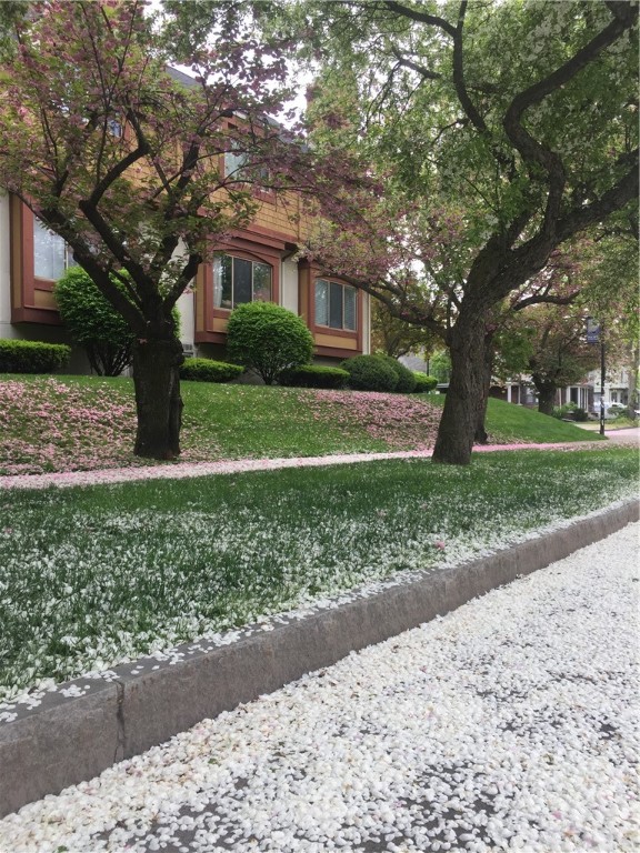 52 Vick Park B Rochester, NY 14607 - Photo 4 of 31