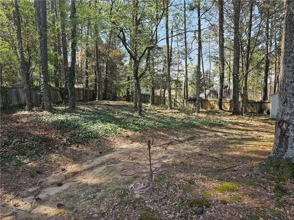 a street view with large trees
