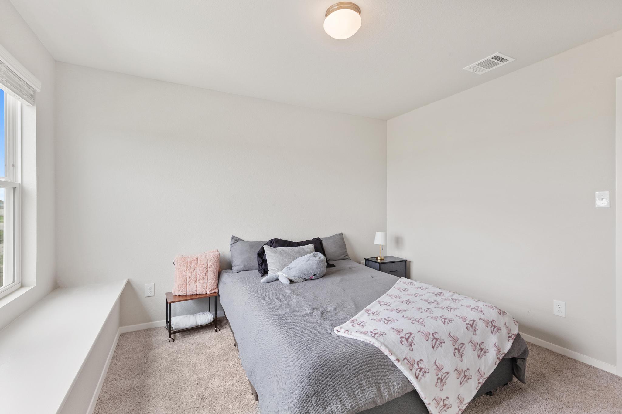 242 Barley Lane Elgin, TX 78621 - Photo 20 of 31 Carpeted room featuring a window with a built-in bench, light-colored walls, and a ceiling-mounted light fixture