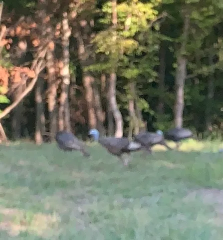 $659,000 | 1242 Peter Pond Road, Ashland City, TN 37015