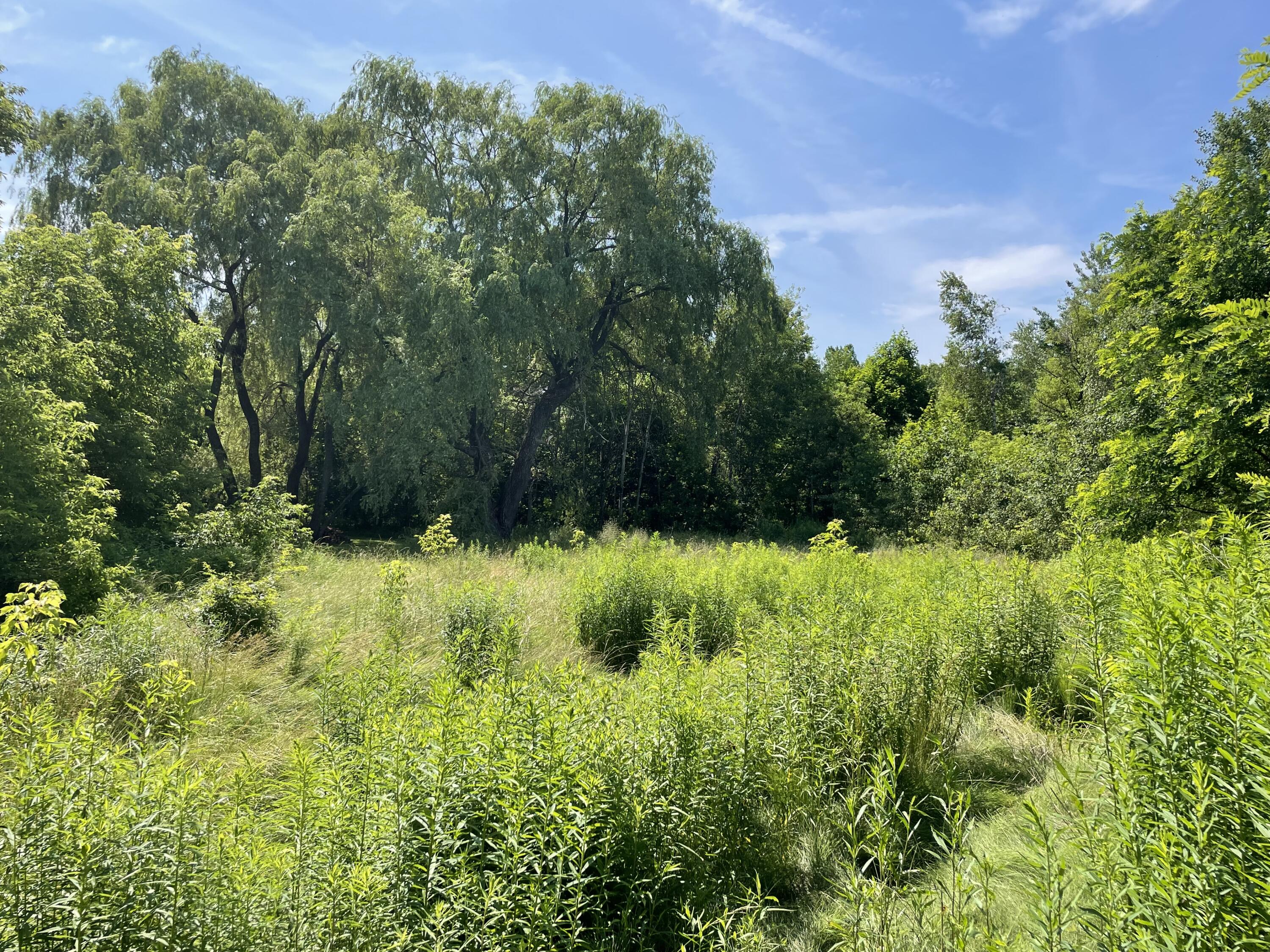 West St. Money Yes MCI