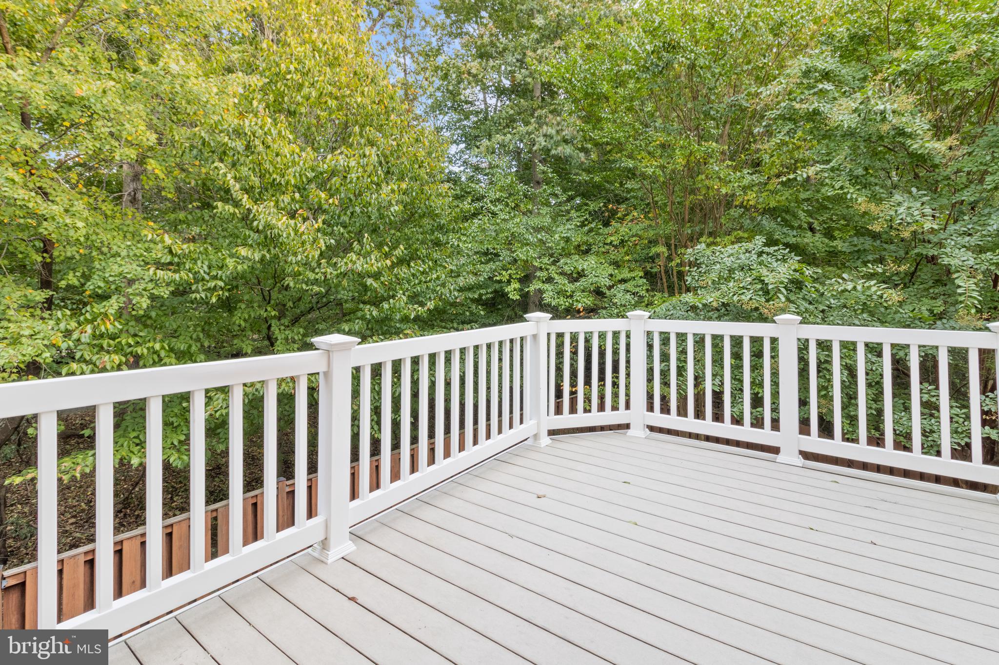 2386 Jostaberry Way Odenton, MD 21113 - Photo 9 of 36 Deck