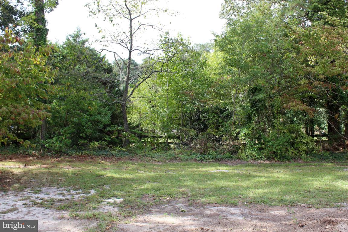 5138 South Upper Ferry Road Eden, MD 21822 - Photo 22 of 25 Gallery Image 22