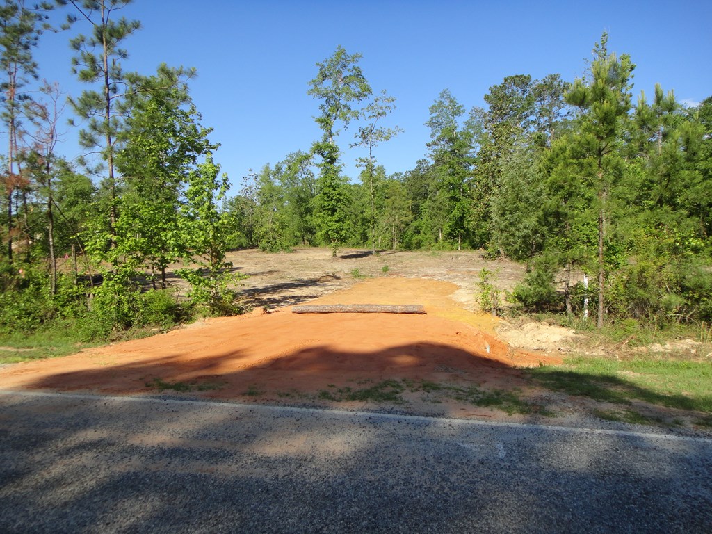 0 Otho Road Abbeville, AL 36310 - Photo 8 of 11