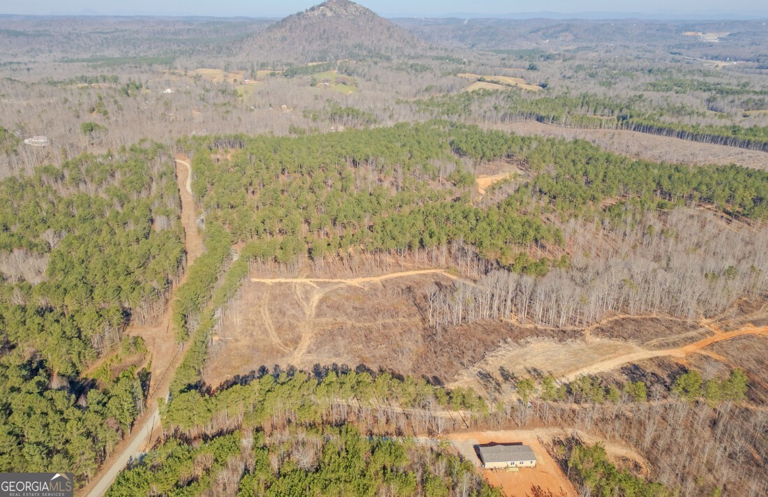 915 West Leatherwood Road Toccoa, GA 30577 - Photo 2 of 3 a view of lake view