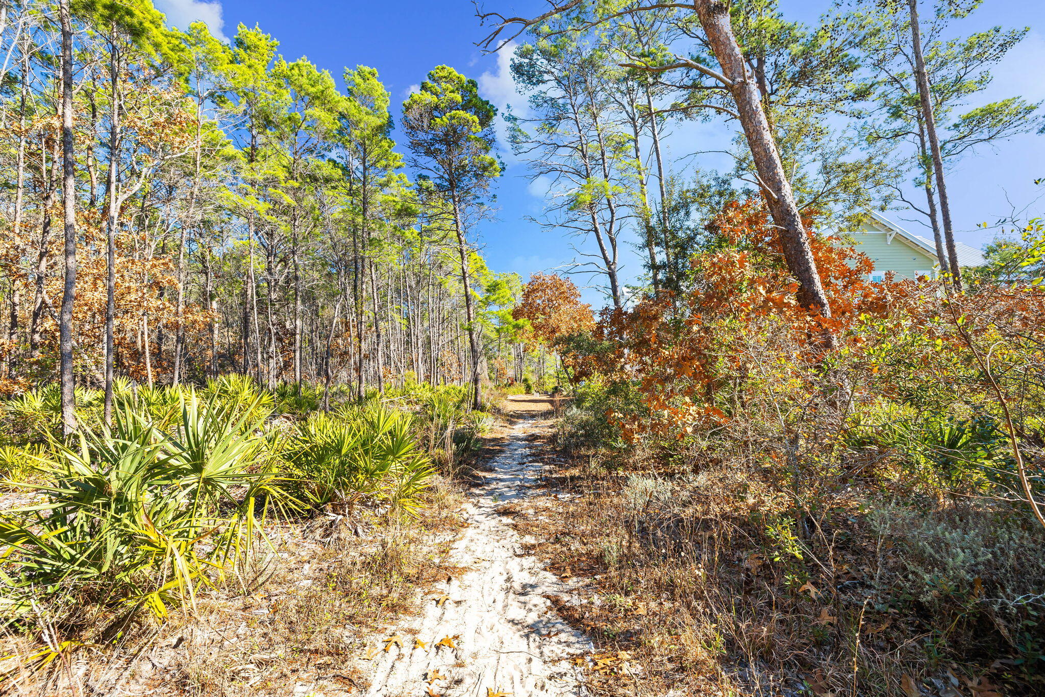 27 Matt's Way Santa Rosa Beach, FL 32459 - Photo 67 of 67 Array_27MattsWay-19