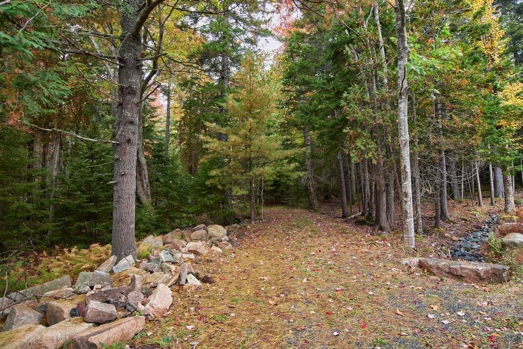 0 Delights Road Northeast Harbor, ME 04662 - Photo 1 of 3 Photo