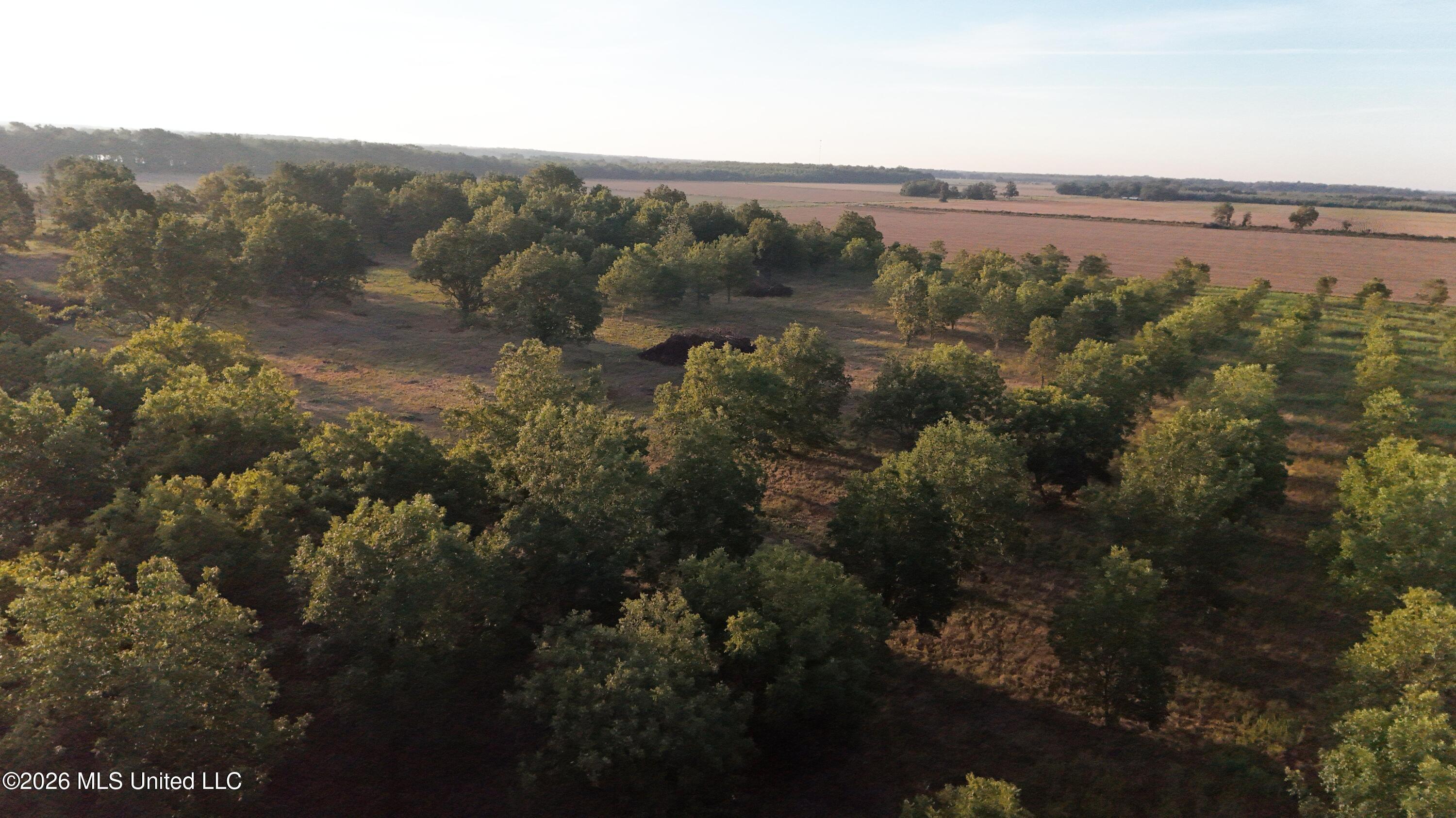 Interstate Road Shaw, MS 38773 - Photo 16 of 31 DJI_20260924090516_0626_D