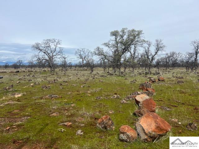 Buffalo Road Anderson, CA 96007 - Photo 3 of 8