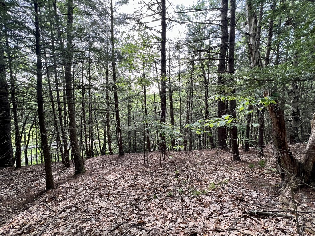 0 George Lamb Road Greenfield, MA 01301 - Photo 2 of 7 a view of outdoor space with lots of trees