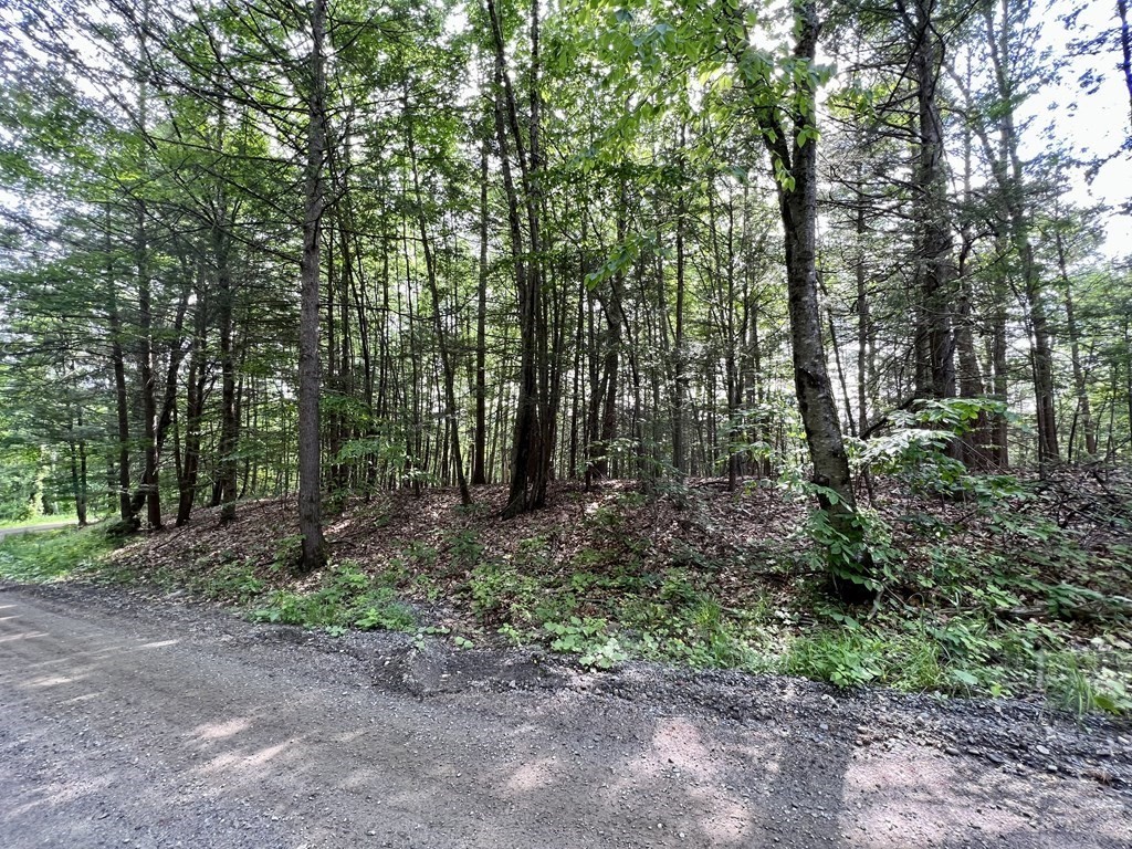 0 George Lamb Road Greenfield, MA 01301 - Photo 4 of 7 a view of outdoor space and green space