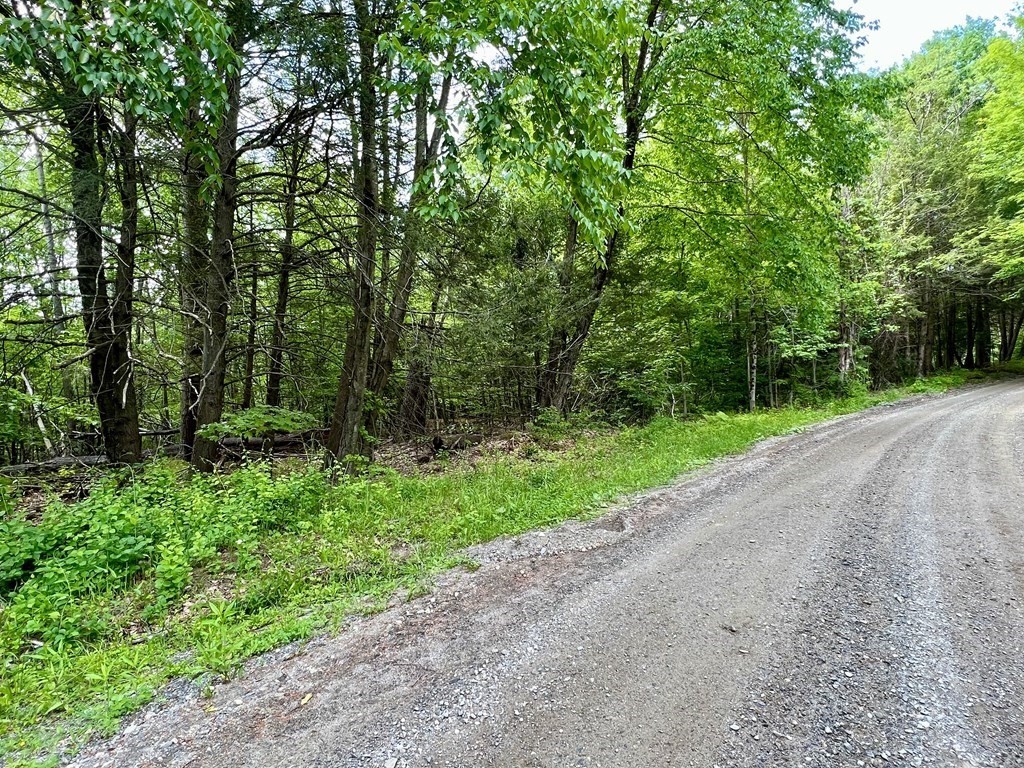0 George Lamb Road Greenfield, MA 01301 - Photo 5 of 7 a view of a park