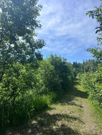 $97,000 | Tbd Main Street East, Menahga, MN 56464