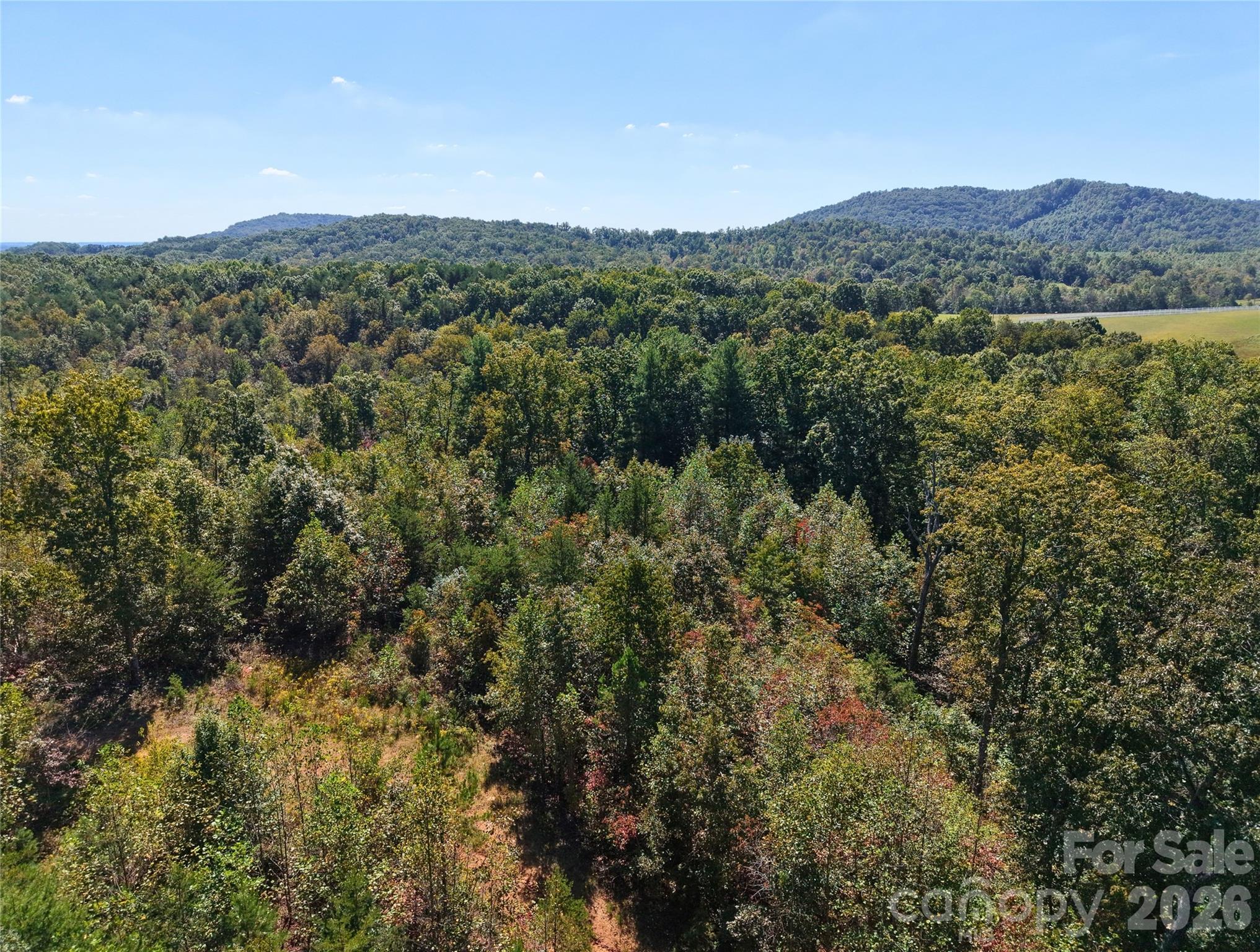 00 Ridley Ranch Road, Unit LOT 2 Hiddenite, NC 28636 - Photo 14 of 23 a view of a forest with mountains in the background