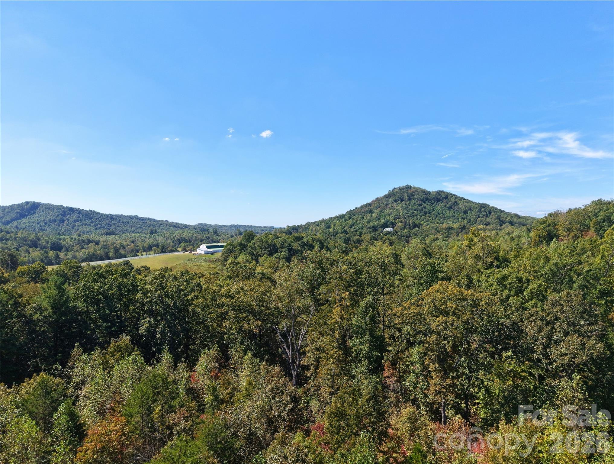00 Ridley Ranch Road, Unit LOT 2 Hiddenite, NC 28636 - Photo 16 of 23 a view of a lake with a mountain in the background