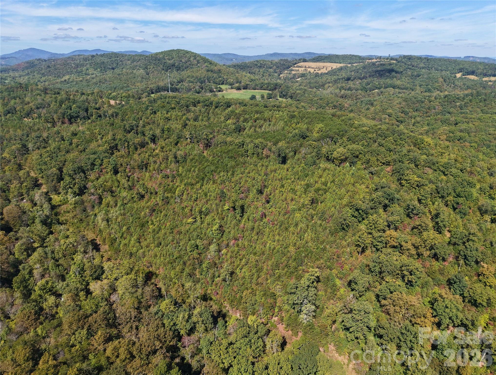 00 Ridley Ranch Road, Unit LOT 2 Hiddenite, NC 28636 - Photo 19 of 23 a view of a lush green field with lots of bushes