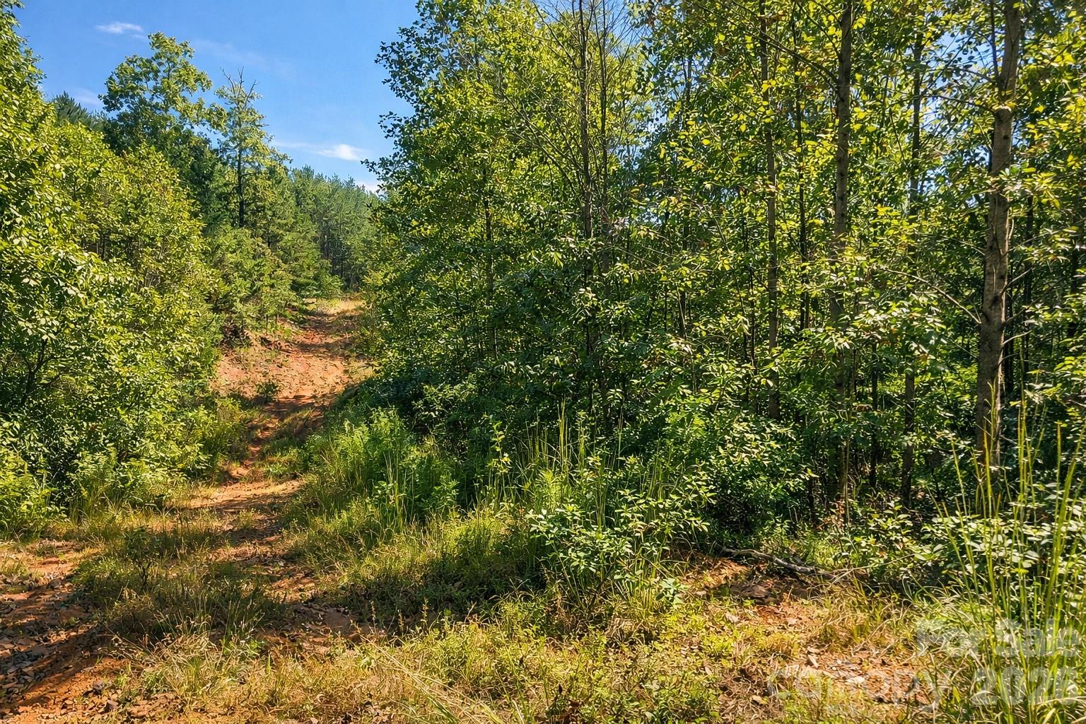 00 Ridley Ranch Road, Unit LOT 2 Hiddenite, NC 28636 - Photo 22 of 23 a view of a tree