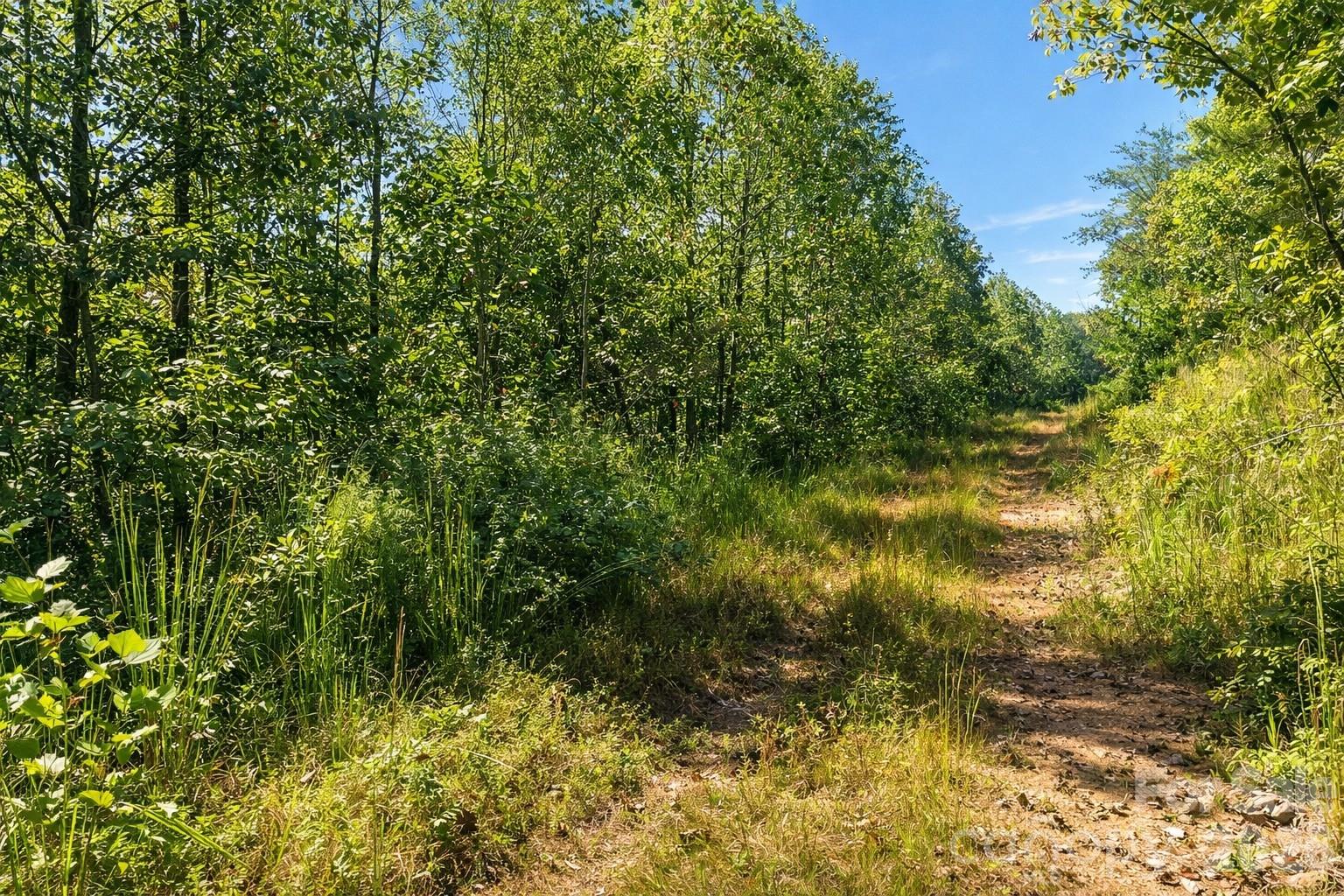 00 Ridley Ranch Road, Unit LOT 2 Hiddenite, NC 28636 - Photo 23 of 23 a view of a yard