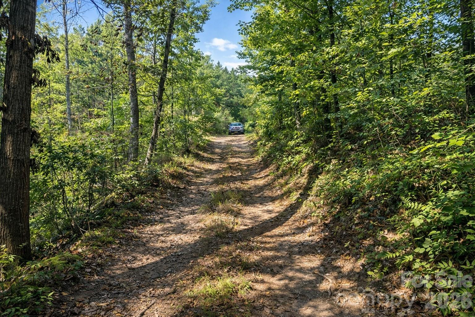 00 Ridley Ranch Road, Unit LOT 2 Hiddenite, NC 28636 - Photo 7 of 23