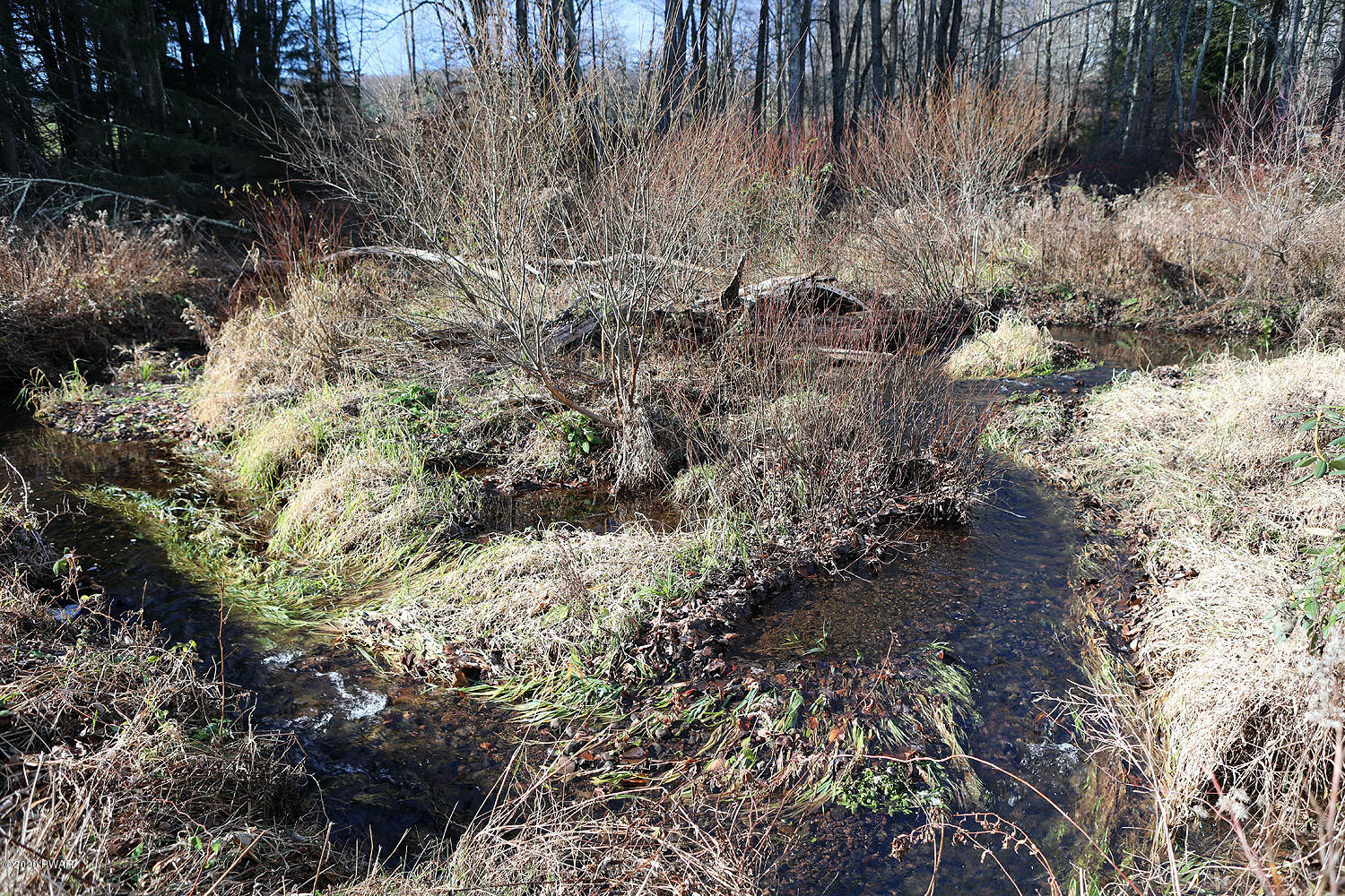 215 Hopkins Road Tyler Hill, PA 18469 - Photo 6 of 28 Stream in back of property