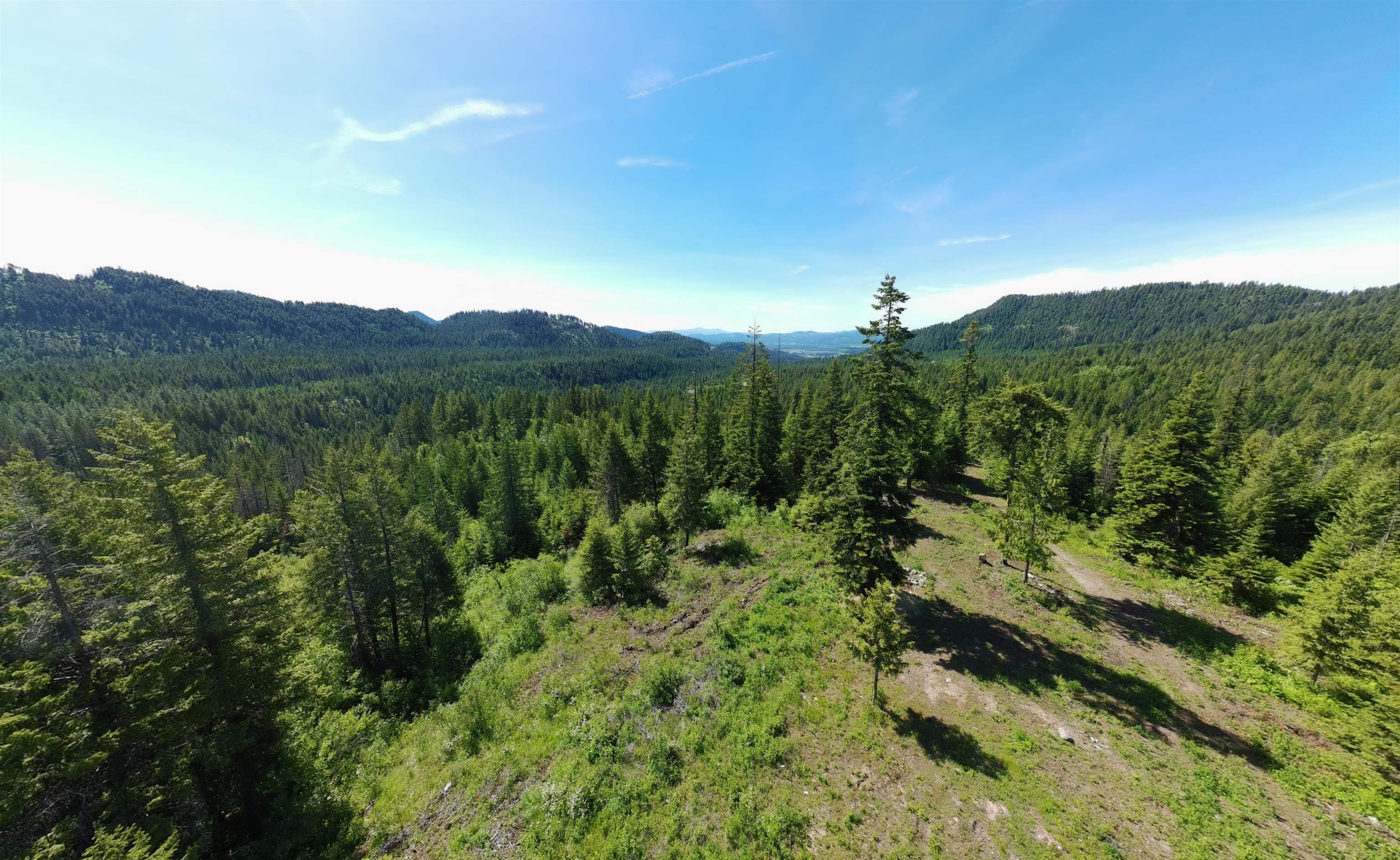 1261 Outback Lane Usk, WA 99180 - Photo 11 of 42