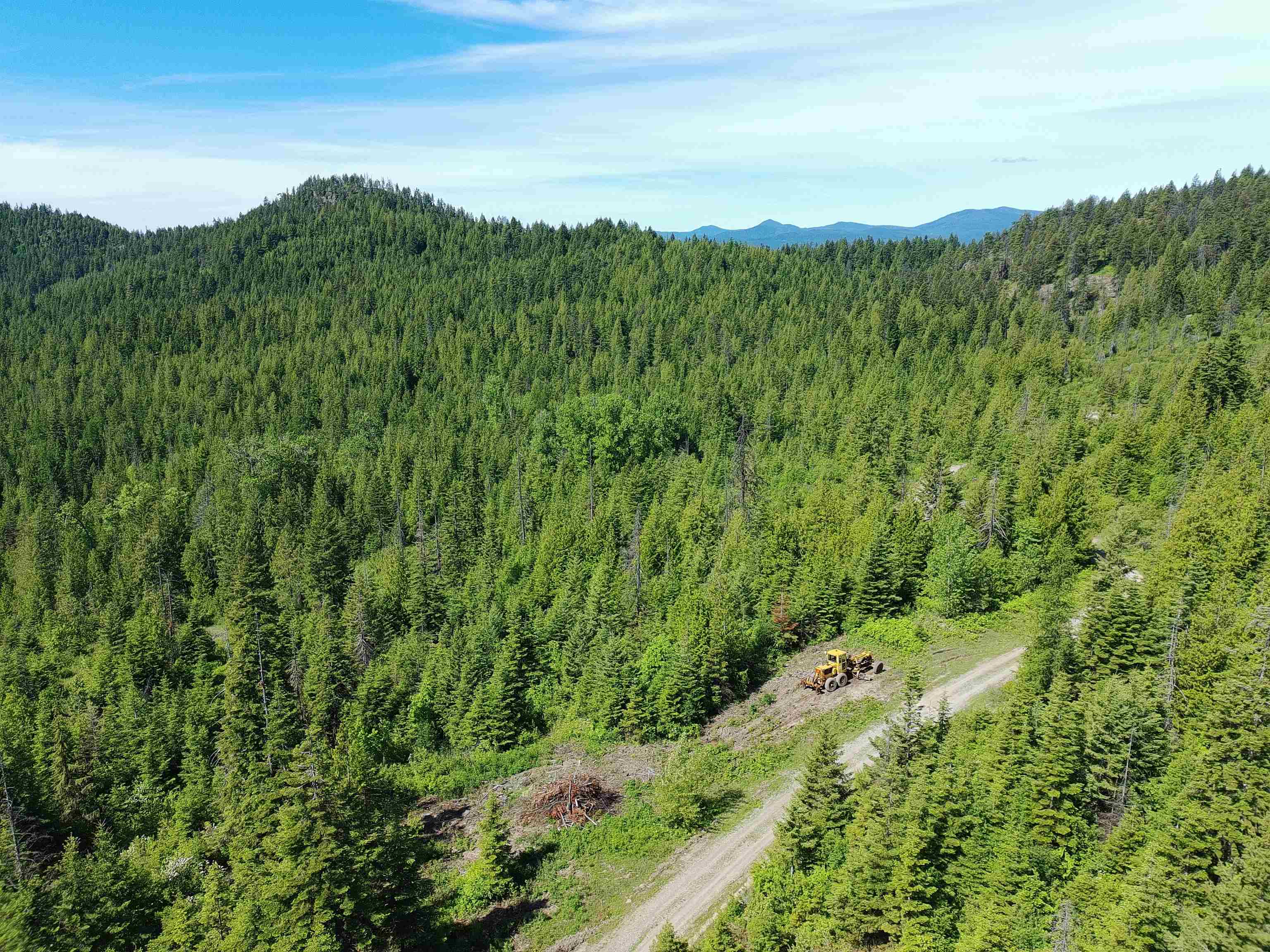 1261 Outback Lane Usk, WA 99180 - Photo 7 of 42