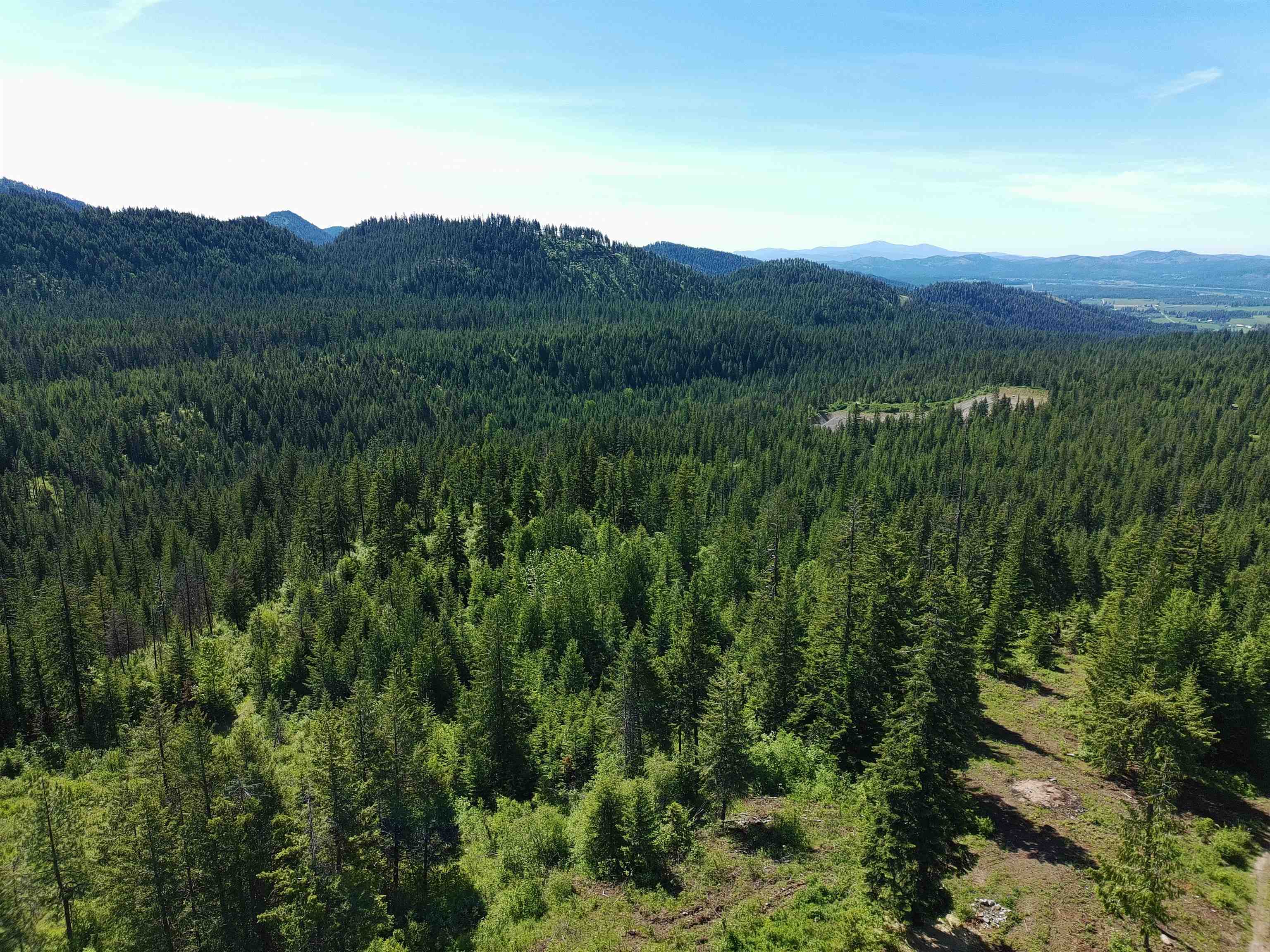 1261 Outback Lane Usk, WA 99180 - Photo 9 of 42