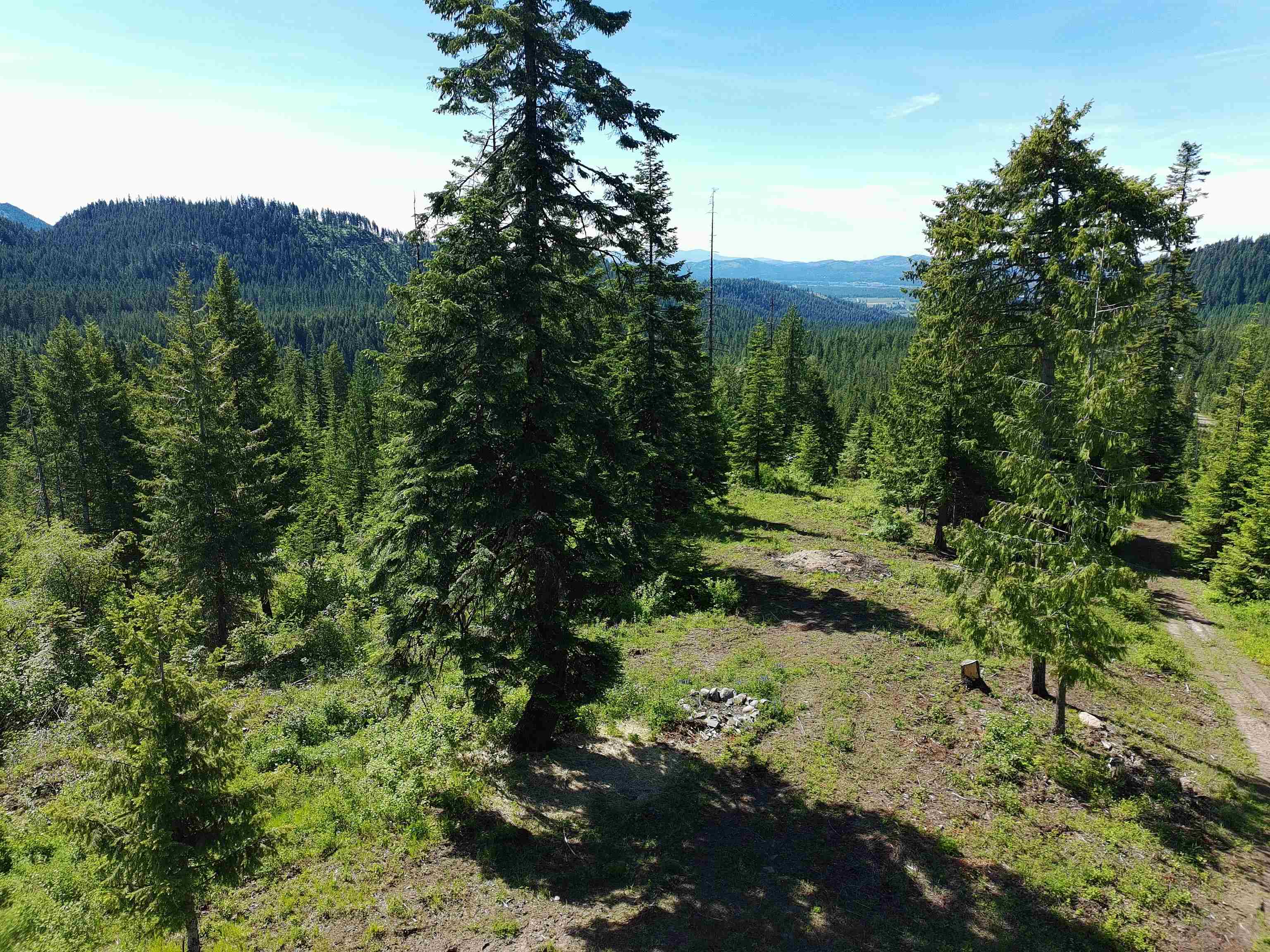 1261 Outback Lane Usk, WA 99180 - Photo 10 of 42
