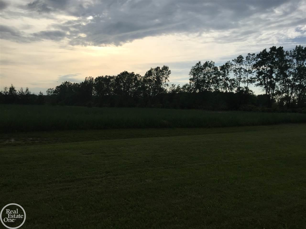 8562 Fisher Road Avoca, MI 48006 - Photo 4 of 39